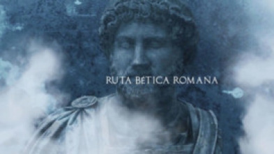 Imagen de La ruta bética romana - 5