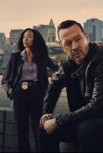Imagen de Boston Blue (T1): Ep.9 Daño colateral - 6