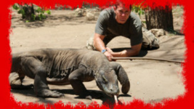 Imagen de Fauna letal - 7
