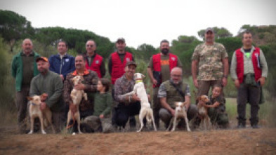 Imagen de Campeonato autonómico de CLM de trabajo para podenco, maneto y orito español - 5