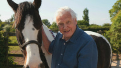 Imagen de Curiosidades de la naturaleza con Attenborough  - 15