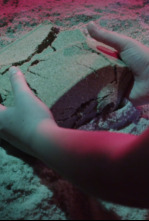 Imagen de Versogramas - 4