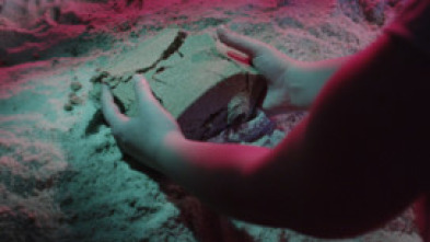 Imagen de Versogramas - 5
