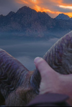 Imagen de Desde el atlas al levante, el Arrui - 4