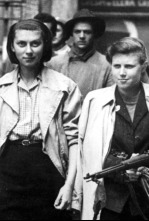 Imagen de Mujeres espías en...: Ep.1 - 4