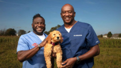Imagen de Critter fixers: Veterinarios rurales: Serpentea hasta lograrlo - 5