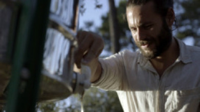 Imagen de Tierra de Sabores - 5