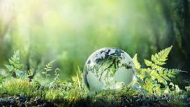 Imagen de The Climate Question (T1): Does Climate Change Fuel Epidemics? - 5