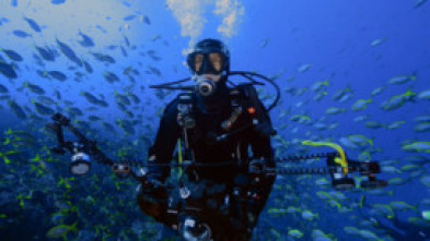 Imagen de Pristine Seas: Protegiendo los mares - 6