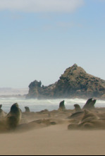 Imagen de Costas Salvajes - 4