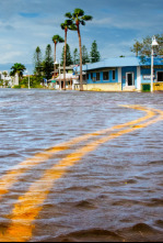 Imagen de En el ojo de la tormenta  - 6