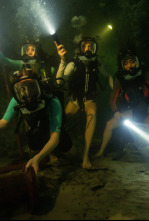 Imagen de A 47 metros 2: El terror emerge - 8