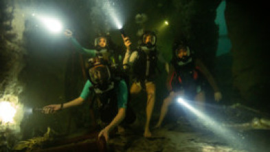 Imagen de A 47 metros 2: El terror emerge - 9