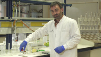 Imagen de Falsos mitos - 5