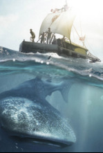 Imagen de Kon-Tiki - 4