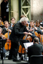 Imagen de Brahms, Doble Concierto en la menor Op. 102 - 4