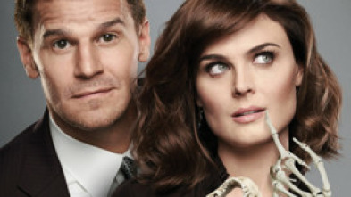 Imagen de Bones (T8): Ep.23 La pathos en los patógenos - 5