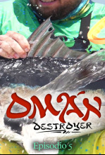 Imagen de Omán destroyer Ep. 5 Serviolas en superficie - 4