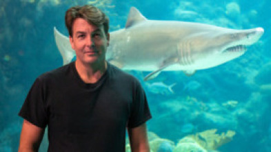 Imagen de Tiburones caníbales - 6