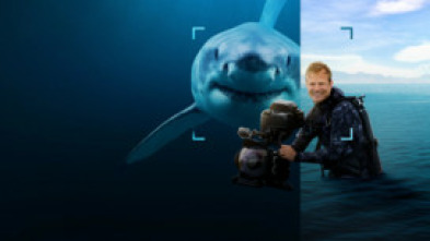 Imagen de Tiburones en primer plano con Bertie Gregory - 10