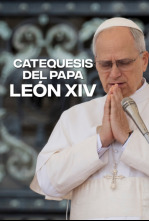 Imagen de Catequesis del Papa León XIV - 4