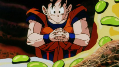 Imagen de Bola de drac Z (T1): Ep.27  - 5