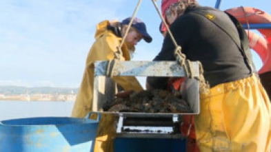 Imagen de Vivir o mar - 5