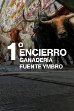 Imagen de Vive San Fermín (T2026): Ep.2 - 6