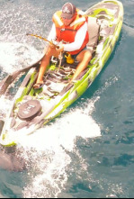 Imagen de Tiburones que se lo comían todo - 5