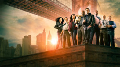 Imagen de Brooklyn Nine-Nine (T8): Ep.3 La gripe azul - 7