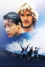 Imagen de Le llaman Bodhi - 6