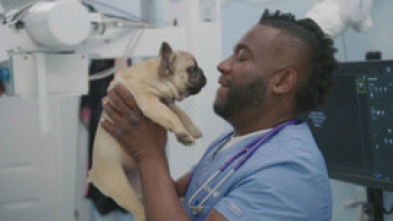 Imagen de Critter fixers:...: Manías veterinarias - 7
