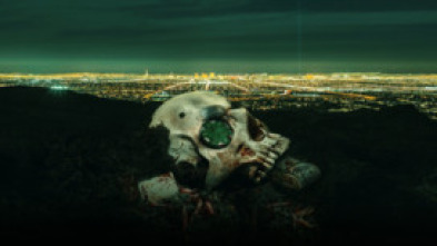 Imagen de CSI: Las Vegas (T1): Ep.10 Firmado, sellado y entregado - 5