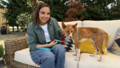 Imagen de Dog House (T2): Ep.2 - 5