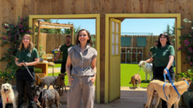 Imagen de Dog House (T1): Ep.8 - 5