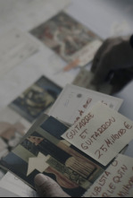 Imagen de Guardianes del Patrimonio: Operación Sagún - 6