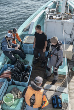 Imagen de Jurassic Sharks - 4