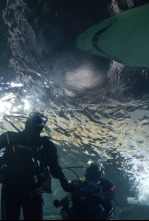 Imagen de La invasión del megatiburón - 4