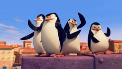 Imagen de Los pingüinos de... (T1): Operación Peluche; Felíz Día Del Rey Julián - 7