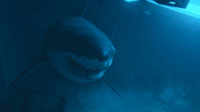 Imagen de Terror en el mar - 5