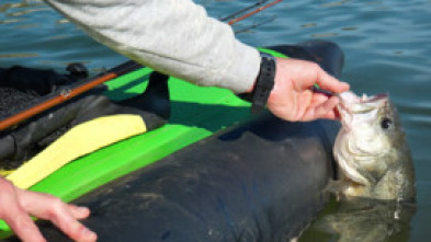Imagen de Tras el bass, raspando fondo - 5