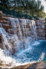 Imagen de Piscinas de ensueño (T9): Líneas claras y agua limpia - 4
