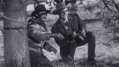 Imagen de La carga de los indios Sioux - 5