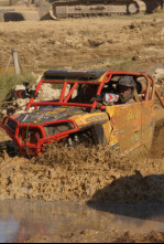 Imagen de Locura sobre ruedas (T1) - 6