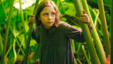 Imagen de El jardín secreto - 7