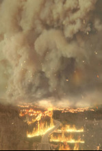 Imagen de Witness to Disaster: Peligro desde arriba - 4