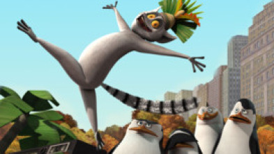 Imagen de Los pingüinos de... (T2): La visita del tío Nigel; Maurice en paz - 7