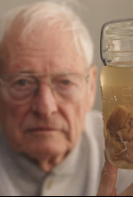 Imagen de El hombre que robó el cerebro de Einstein - 12