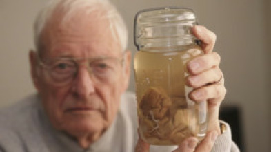 Imagen de El hombre que robó el cerebro de Einstein - 15
