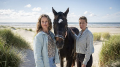 Imagen de Un verano en Langeoog - 5